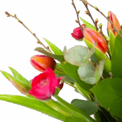 Boeket Vrolijk Roze Middel 7 Boeket Vrolijk Roze Middel -Elho Verkoop boeket vrolijk roze boeketten 3 2