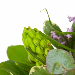 Boeket Vrolijk Seizoen Middel -Elho Verkoop boeket vrolijk seizoen boeketten 3