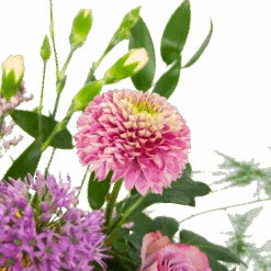 Boeket Vrolijke Verrassing Middel 7 Boeket Vrolijke Verrassing Middel -Elho Verkoop boeket vrolijke verrassing boeketten 3 2