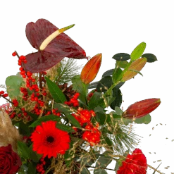 Boeket Winterse Pluim Klein -Elho Verkoop boeket winterse pluim boeketten 3 1