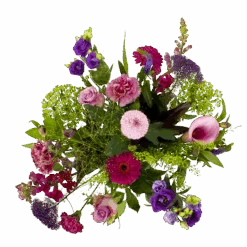 Boeket Zomerbries Klein -Elho Verkoop boeket zomerbries boeketten 2 5 2