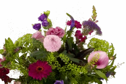 Boeket Zomerbries Groot -Elho Verkoop boeket zomerbries boeketten 3 5 1