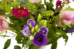 Boeket Zomerbries Middel -Elho Verkoop boeket zomerbries boeketten 4 5