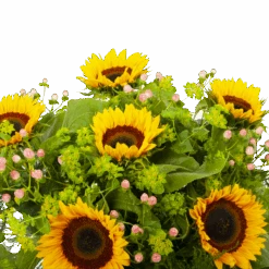 Boeket Zonnestraal Groot -Elho Verkoop boeket zonnestraal boeketten 3 3