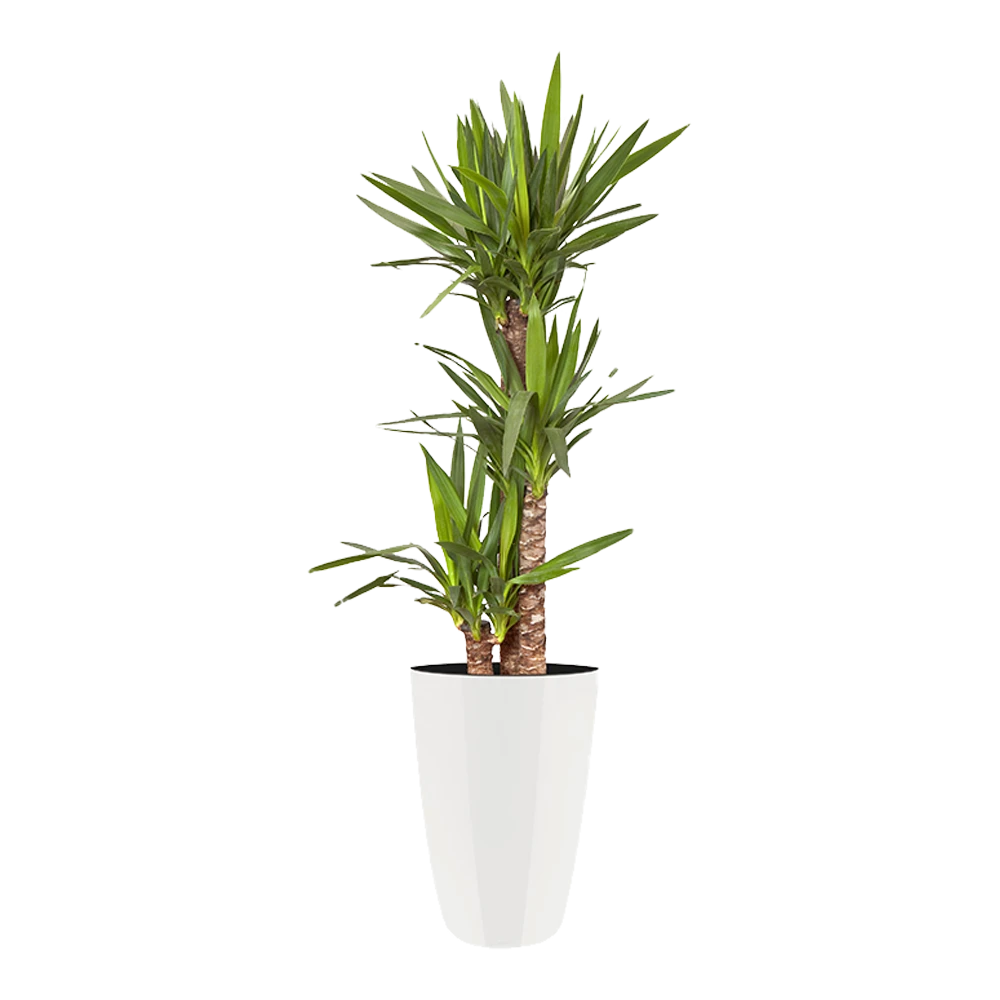 Bloempot Elho Brussels Diamond Rond Hoog 27cm - Wit 3 Bloempot Elho Brussels Diamond Rond Hoog 27cm - Wit - Afbeelding 3