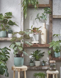 Bloempot Daan - D17 X H16cm - Blauw 5 Bloempot Daan - D17 X H16cm - Blauw -Elho Verkoop daan pot rond blauw h16xd17cm bloempot 7 13