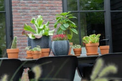 Bloempot Iowa Bullet - D44 X H39cm - Donkergrijs -Elho Verkoop iowa bullet graphite d44h39 bloempot 7 9