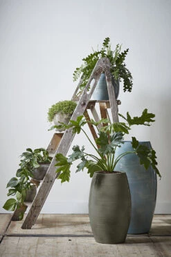 Bloempot Lester Hoog - D30 X H50cm - Groen -Elho Verkoop lester vaas rond groen h50xd30cm bloempot 6 12