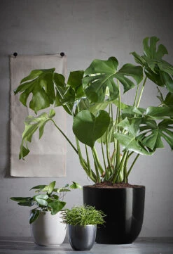 Bloempot Tusca - D35 X H31.5cm - Antraciet -Elho Verkoop tusca pot rond antraciet h31 5xd35cm bloempot 6 11