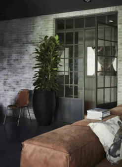 Capi Bloempot Hoog Nature Elegant Deluxe Rib NL - D56 X H84cm - Zwart -Elho Verkoop vaas elegant deluxe rib nl 56x84 zwart bloempot 2 4