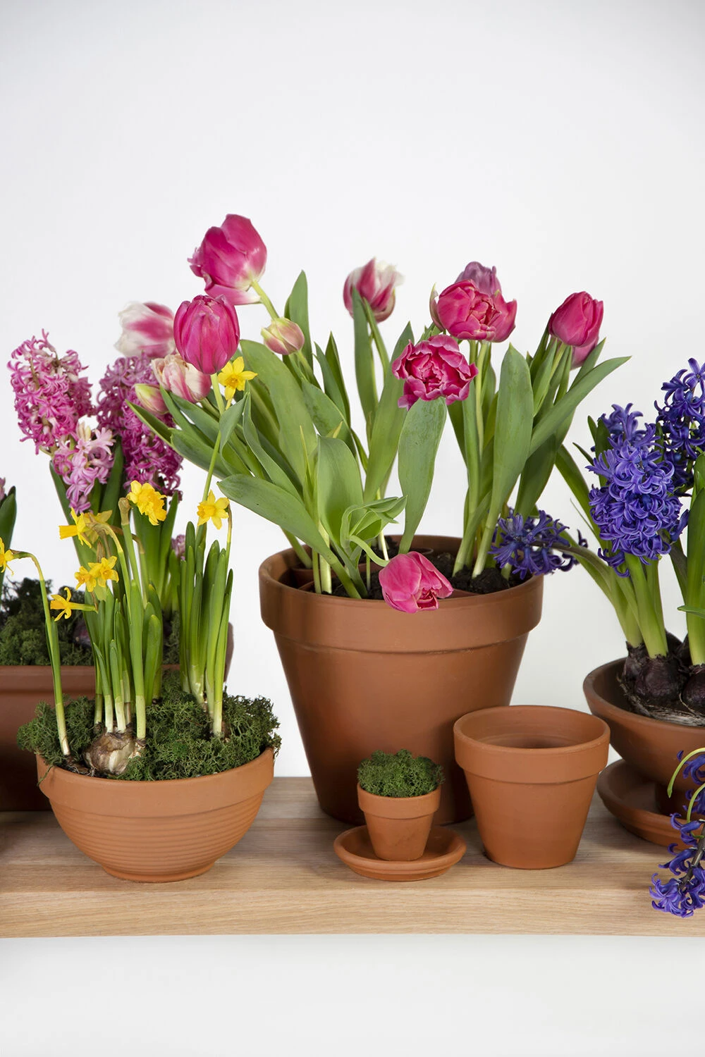 Bloempot Vaso - D39 X H34.5cm - Oranje 2 Bloempot Vaso - D39 X H34.5cm - Oranje - Afbeelding 2