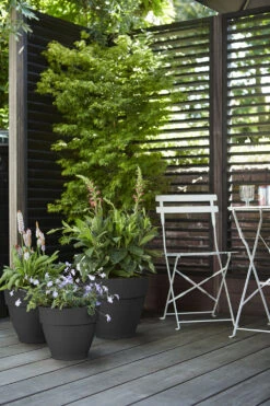 Bloempot Elho Vibia Campana Rond 35cm - Antraciet -Elho Verkoop vibia campana rond 35 bloempot antraciet 7 11