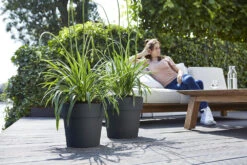 Bloempot Elho Vibia Straight Rond 40cm - Antraciet -Elho Verkoop vibia straight rond 40cm bloempot antraciet 7 11