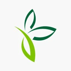 Elho Vivo Matt Finish Vierkant Wielen 40cm - Wit -Elho Verkoop vivo matt finish vierkant wielen 40cm wit 3 1