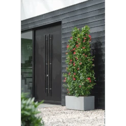 Elho Vivo Next Lang Wielen 60cm - Warm Grijs -Elho Verkoop vivo next lang wielen 60cm warm grijs 6 1