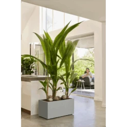 Elho Vivo Next Lang Wielen 60cm - Warm Grijs -Elho Verkoop vivo next lang wielen 60cm warm grijs 7 1